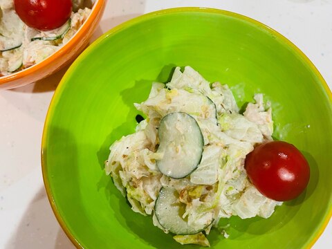 白菜サラダ